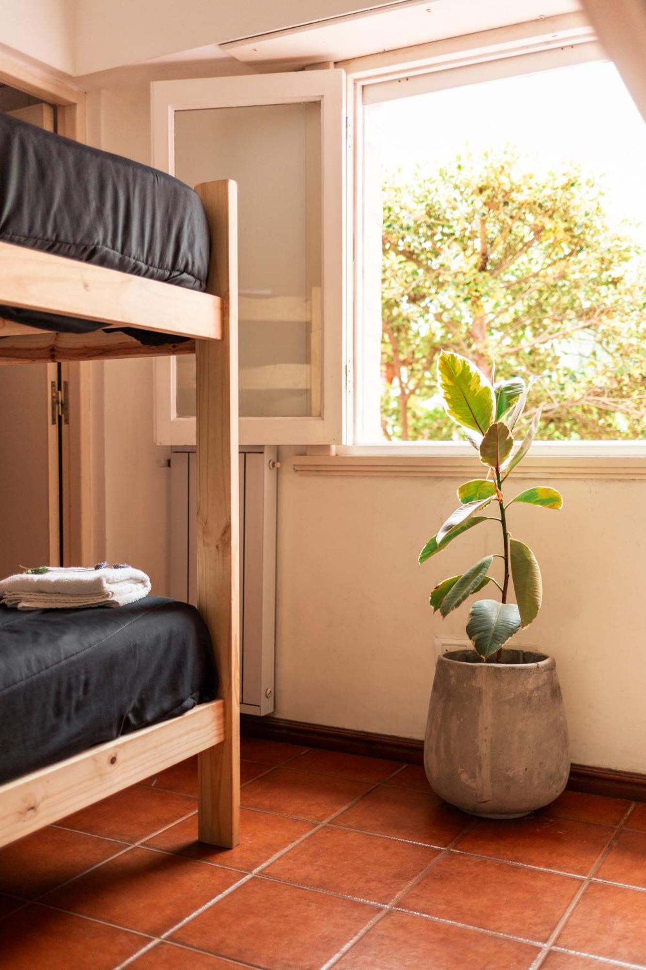 Swell Surf House Hostel ชาปัดมาลัล ภายนอก รูปภาพ